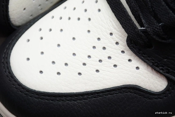 High Star Retro (A Is Sports Born) Jordan 1 Illustrated 555088-015 555088-015 1214